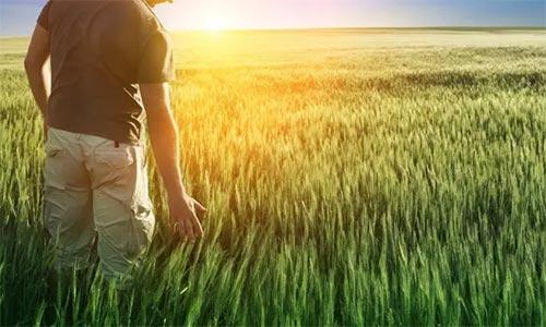 灌溉系统企业能否与农民一起赚